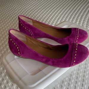 Gorgeous Suede with Gold trim Flats